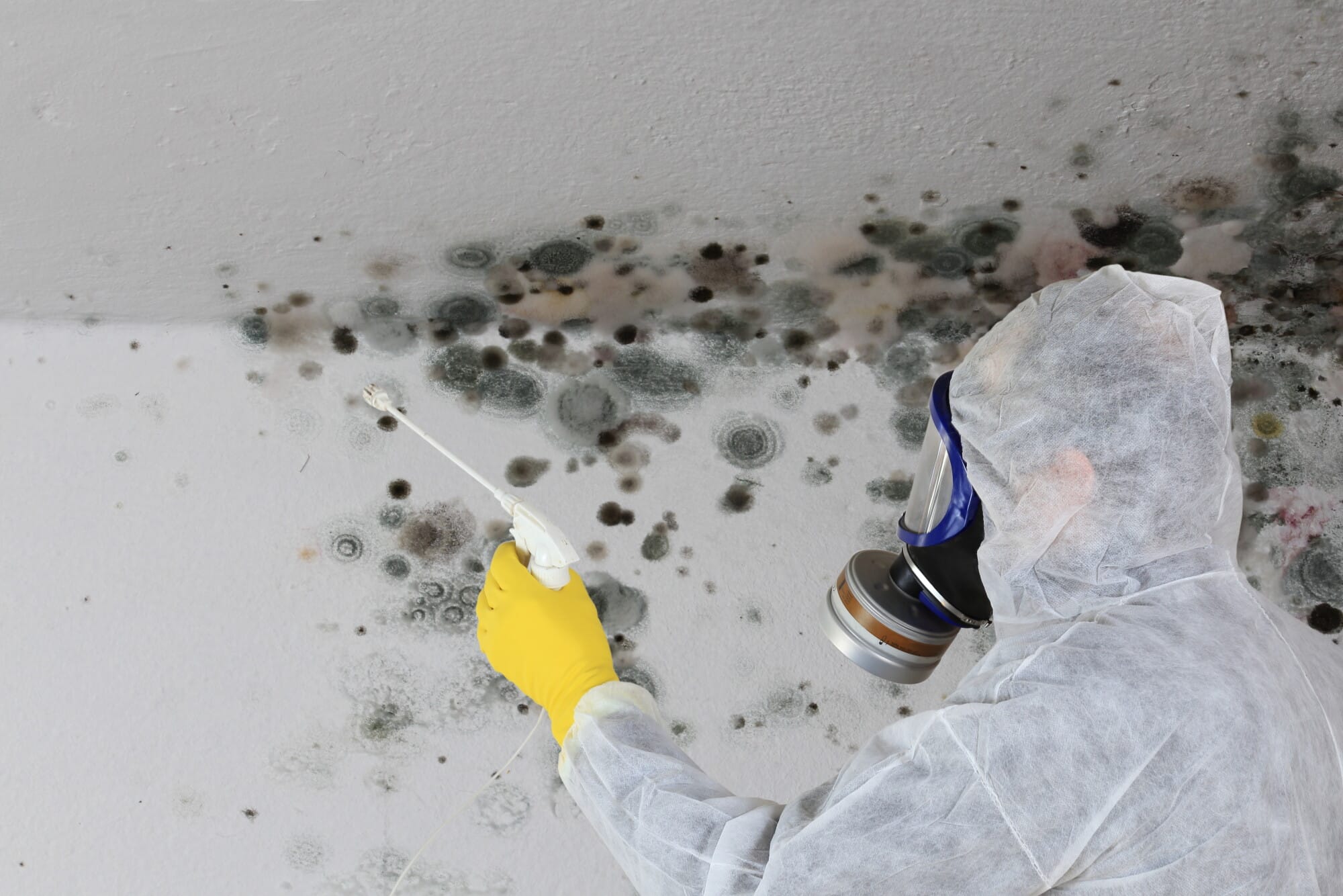 Protective remediation equipment